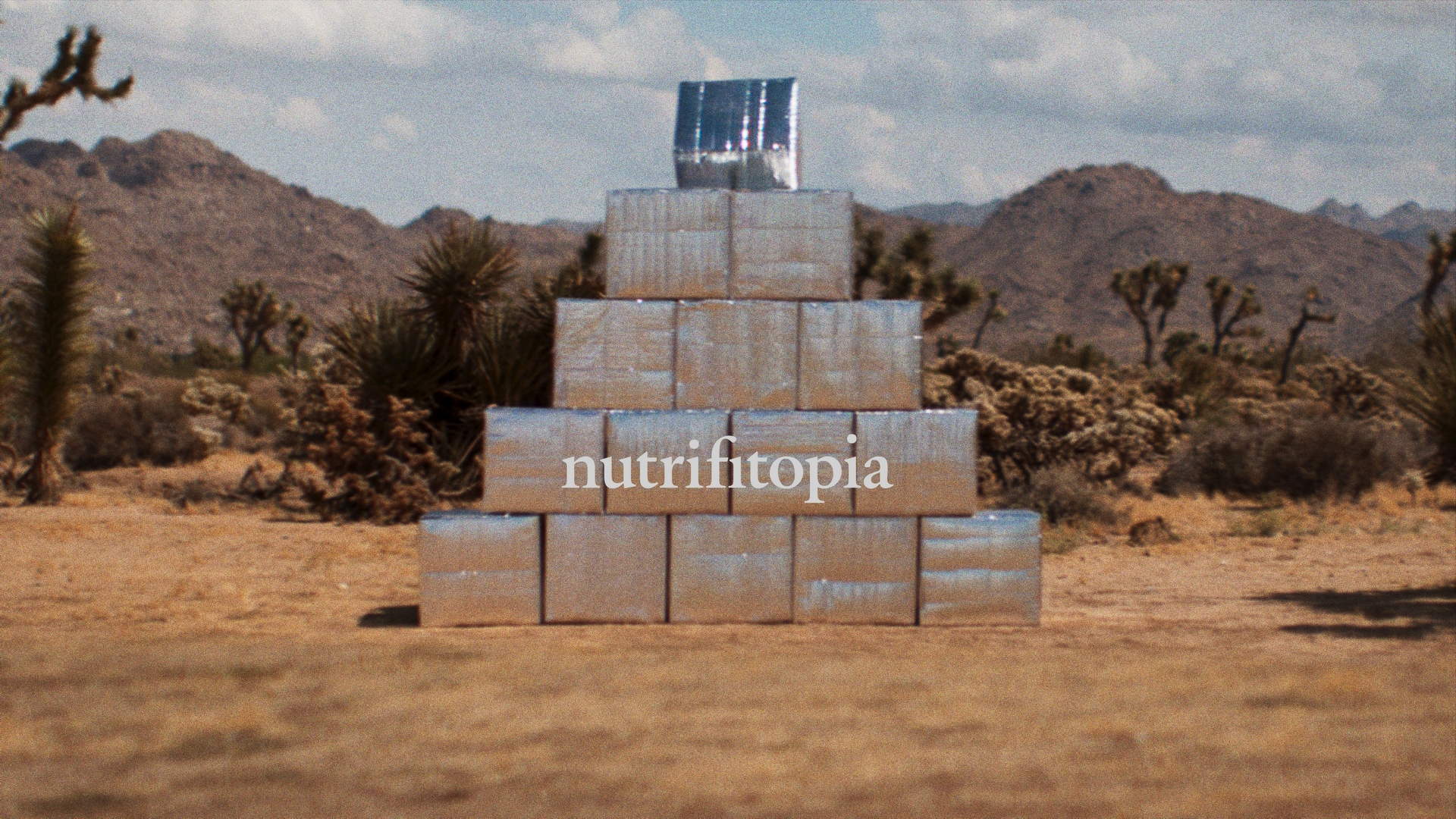 Nutrifitopia Fall 2